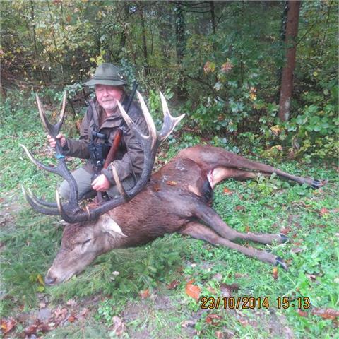 Trophy red stag hunt including 1 red stag up to 170 CIC points (about 7 kg) as well as the Croatian hunting permit