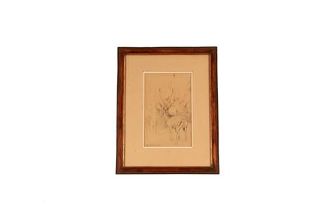 Wilhelm Kuhnert, charcoal/pencil drawing Grant gazelle buck