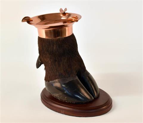 ashtray Cape buffalo (Syncerus caffer)