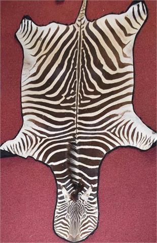 skin of a zebra (Equus quagga burchellii)