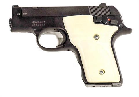 Smith & Wesson model 2214, .22 lr, #UBC6197, § B