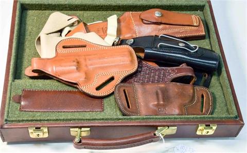 Holster bundle lot and pistol case