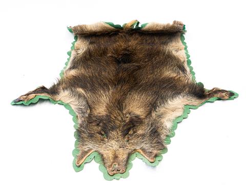 taxidermy, wild boar cover